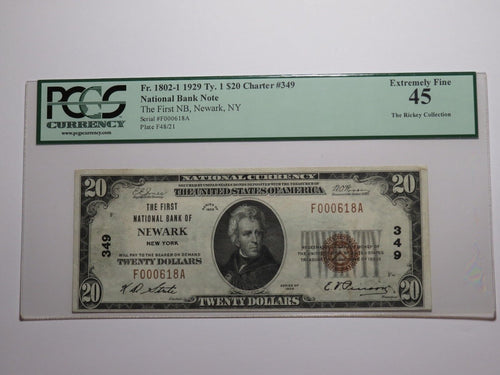$20 1929 Newark New York NY National Currency Bank Note Bill Ch. #349 XF45 PCGS