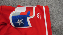 Load image into Gallery viewer, 2019 Tim Federowicz Texas Rangers Game Issued Worn MLB Baseball Jersey 100 Patch
