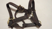Load image into Gallery viewer, 2016 Gio Ponti Race Worn Horse Halter! Castleton Lyons Breeders Cup!