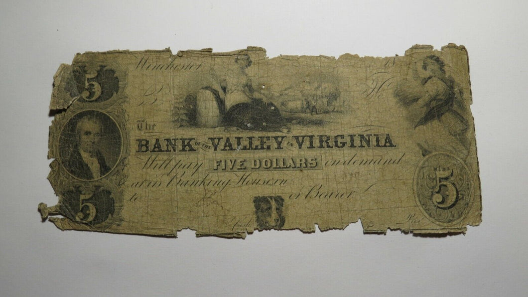 $5 1850 Winchester Virginia VA Obsolete Currency Bank Note Bill! Valley Bank
