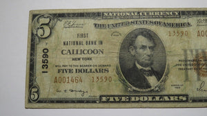 $5 1929 Callicoon New York NY National Currency Bank Note Bill Ch. #13590 FINE!