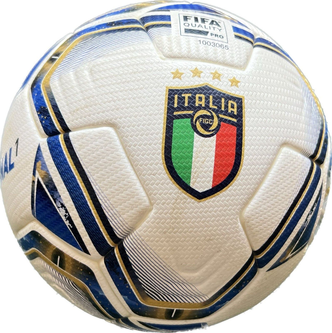2022 Match Used World Cup Qualifying Italy Vs. North Macedonia Puma Soccer Ball!